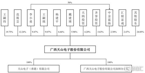 天山電子創業板ipo,擬募資3.13億元,聚焦定制化液晶顯示屏及顯示模組